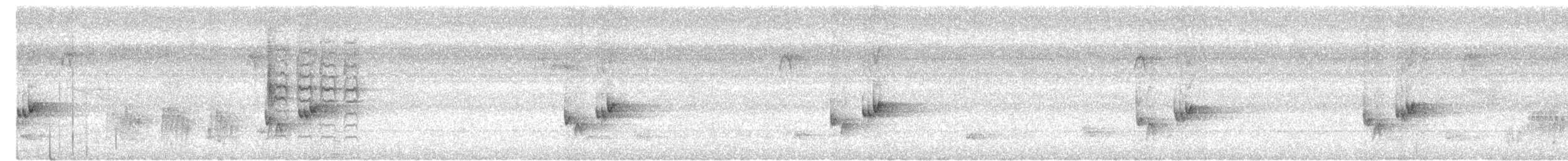 Ashy Tailorbird - ML644988969