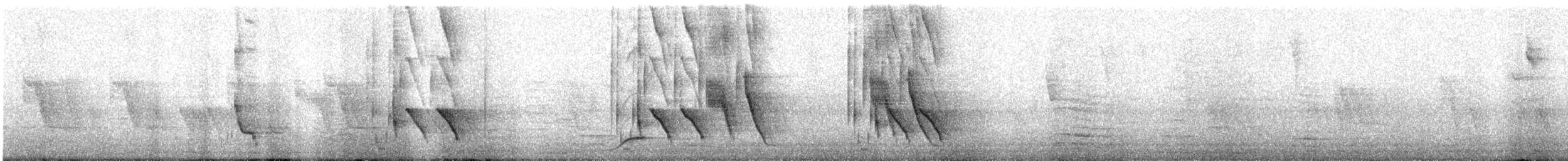 Scrub Blackbird - ML644988986