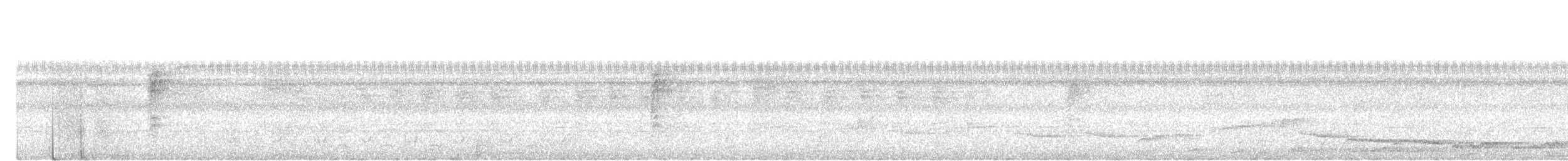 White-crowned Shama - ML644989017