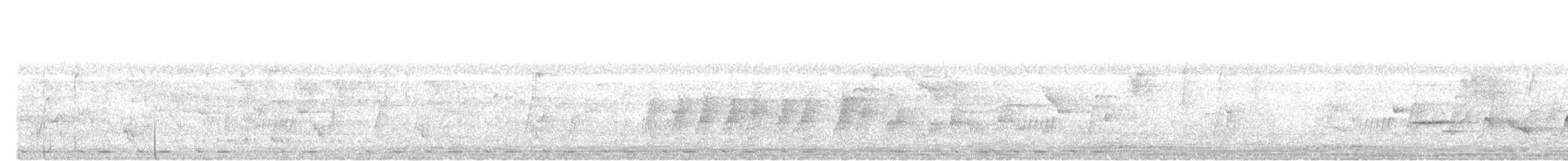 Gold-whiskered Barbet - ML644989064