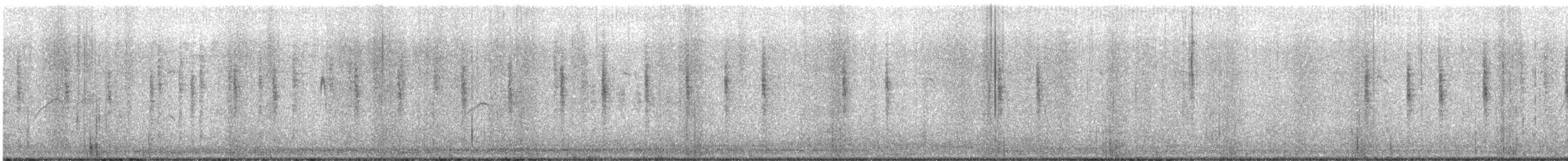 Marsh Wren - ML644989197