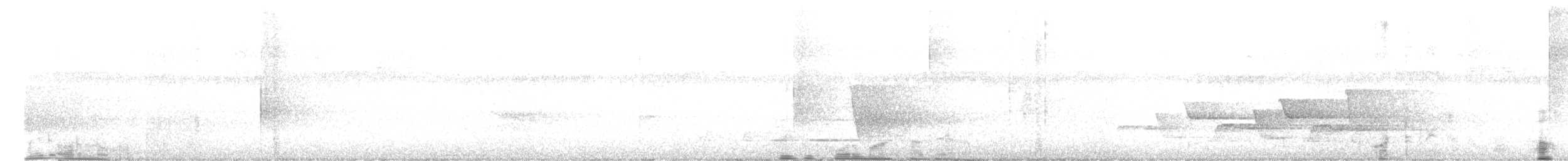 Mangrove Whistler - ML644989486