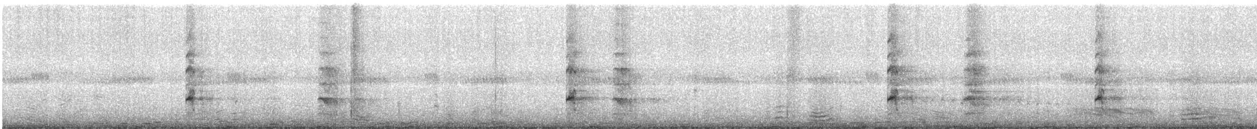 קיווית אדומת-משקפיים - ML644990406