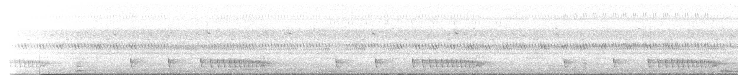 Hint Çobanaldatanı - ML644991358