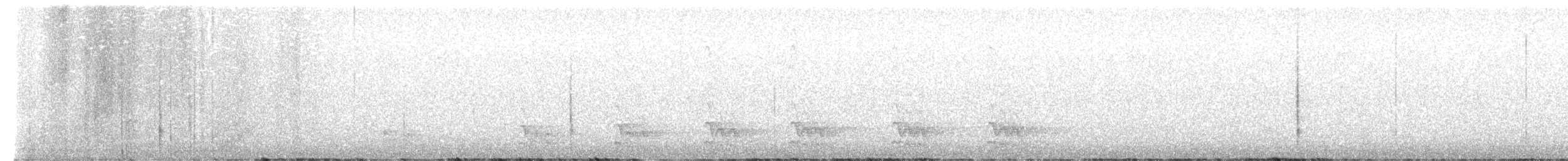 Northern Saw-whet Owl - ML644991636