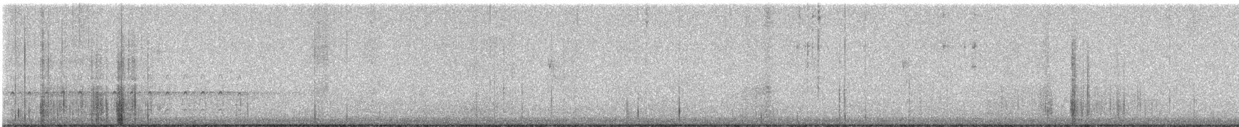 Cuitlacoche Piquicurvo - ML644991897