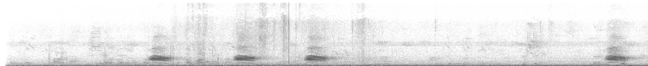 Cuervo Picudo - ML644991937