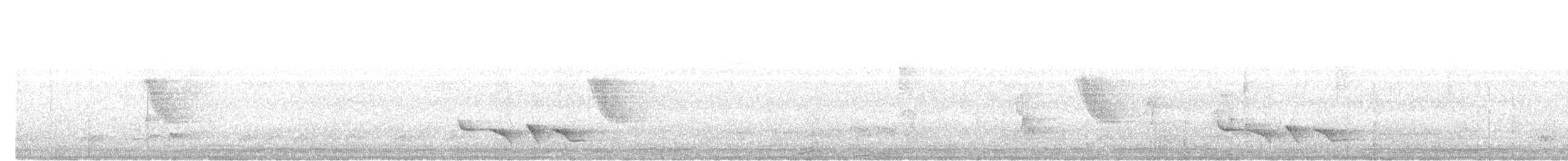 Iora Común - ML644991943