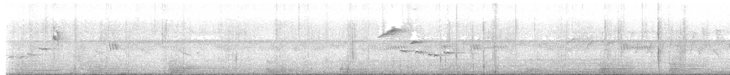 Papamoscas de Tickell - ML644991973