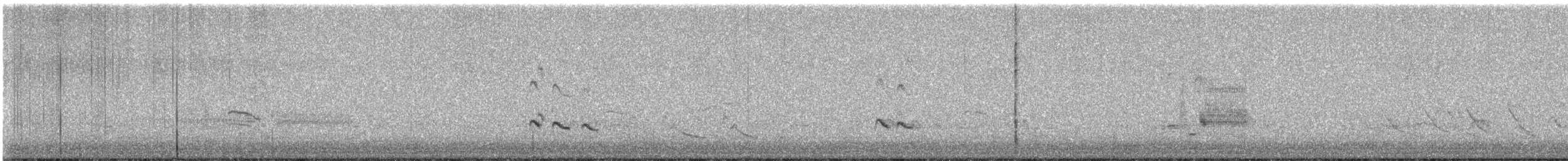 Archibebe Patigualdo Grande - ML644992430