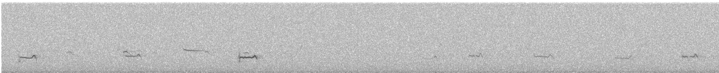 Chorlitejo Grande - ML644992503