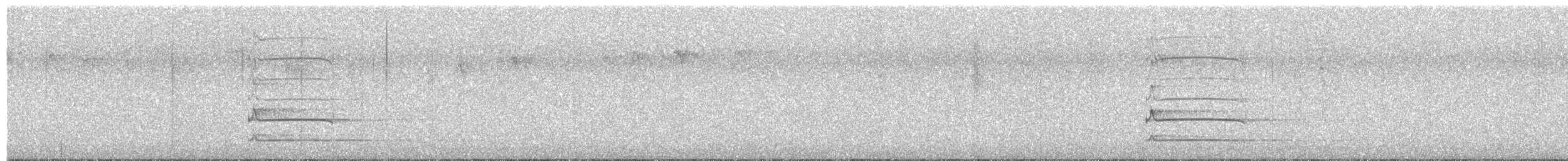 Picamaderos Negro - ML644992834