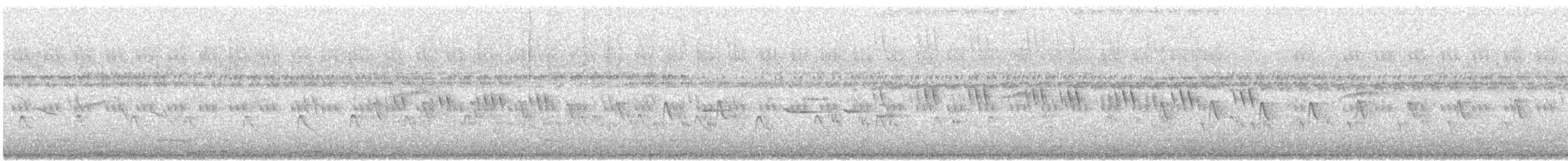 langstjertskredderfugl - ML644993156