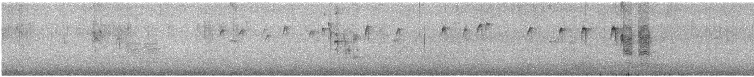 amerikameis - ML644993261