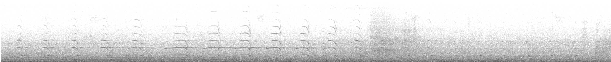 gråvingemåke - ML644993478