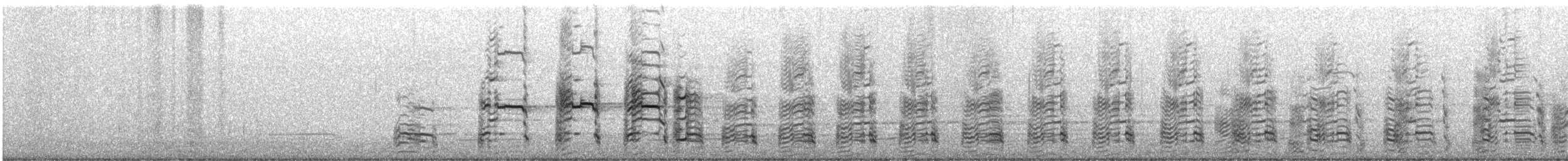 ringnebbmåke - ML644993679