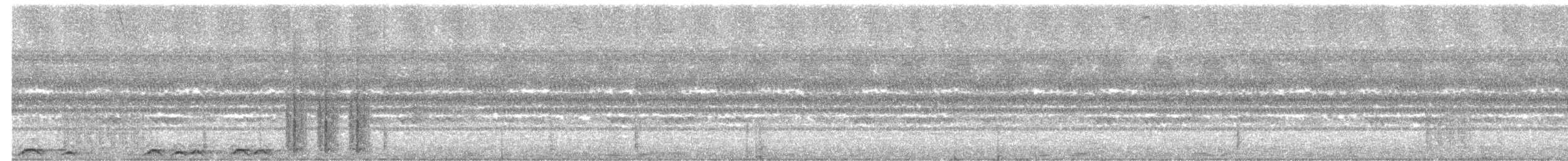 panugle - ML644994000