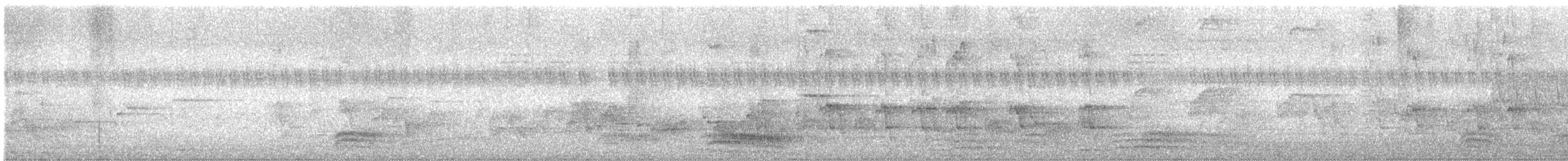 hyrdestær - ML644994257