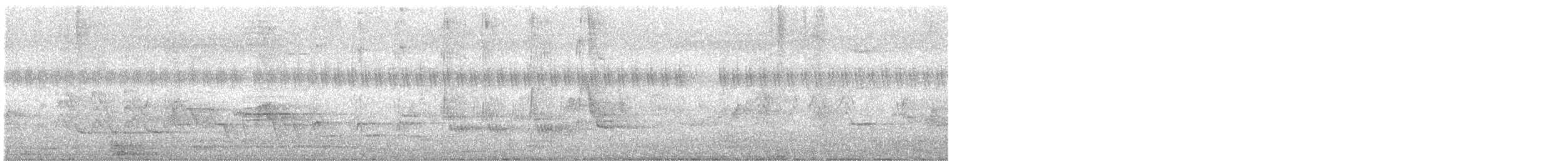 hyrdestær - ML644994258