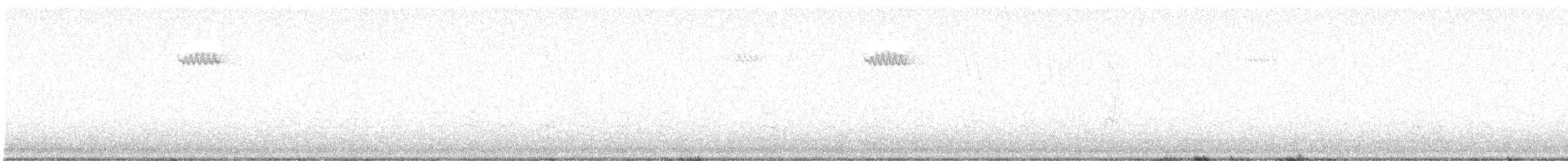 Brown Creeper (americana/nigrescens) - ML644994579