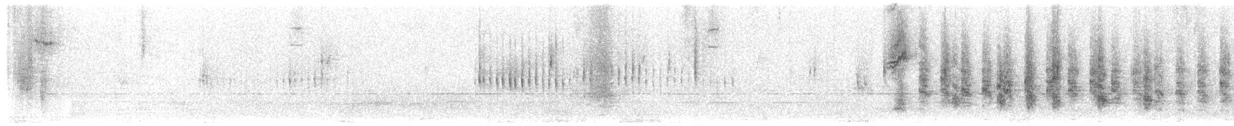 Chingolo de Nelson - ML644994683