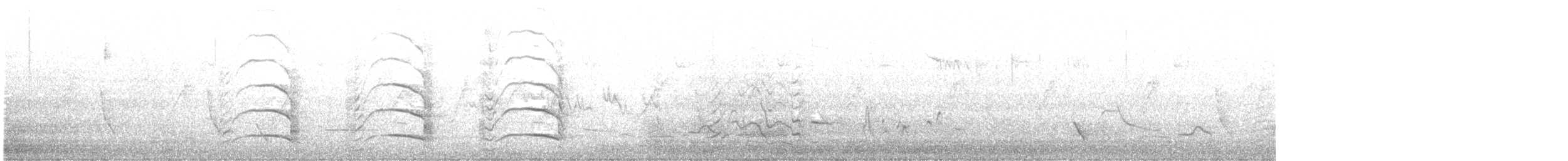 Yellow-tailed Black-Cockatoo - ML644995079