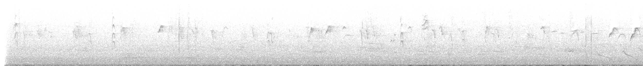 Al Kaşlı Belikınalı - ML644995486