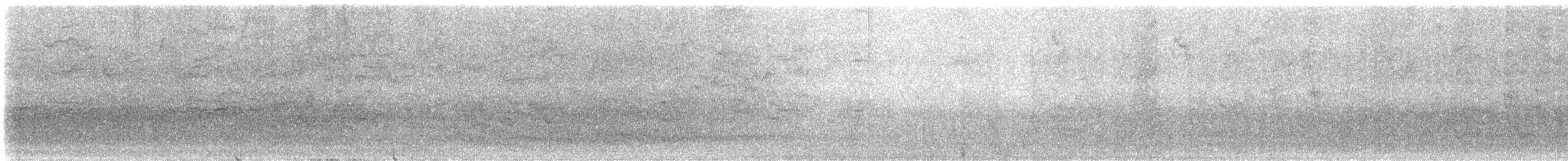 Common Grackle (Bronzed) - ML644995712