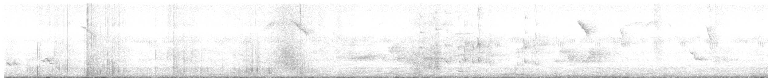 Coulicou d'Euler - ML644996138