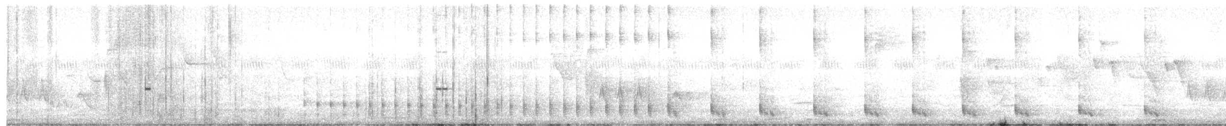 Coulicou d'Euler - ML644996139