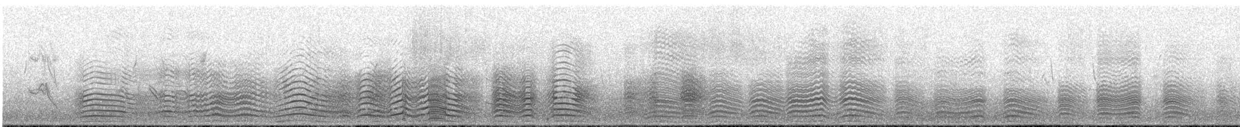 Königspinguin - ML644996371