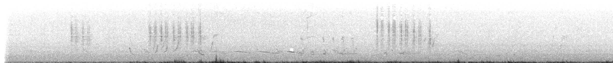 Gartenfächerschwanz - ML644996387