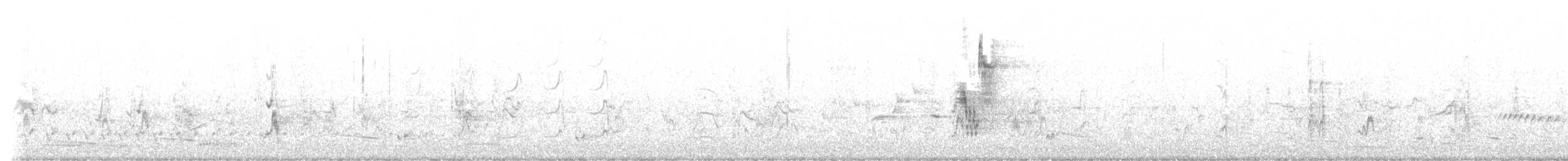 Rostbürzel-Buschsänger - ML644997257