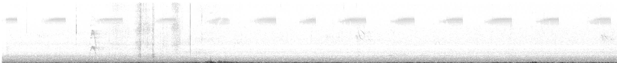 Kokardenspecht - ML644997259