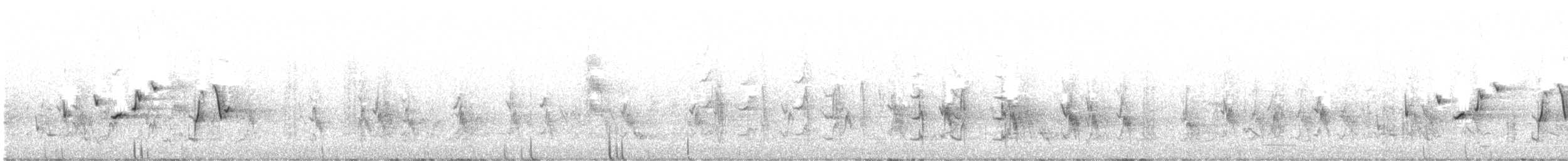 Streifenpanthervogel - ML644997266