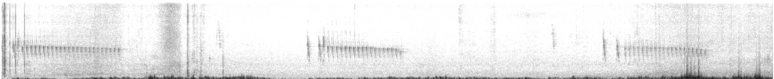 Namafeinsänger - ML644997269
