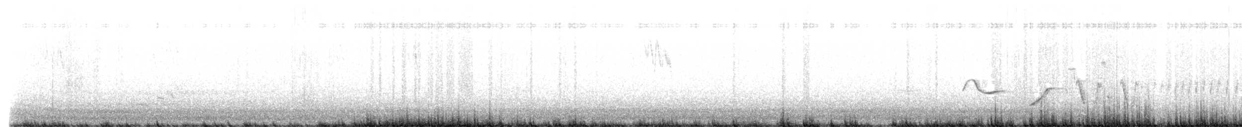 Sturnella, unbestimmt - ML644997305