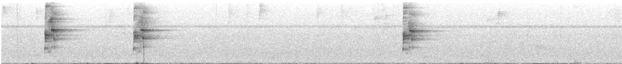 Halsbandarassari - ML644997500