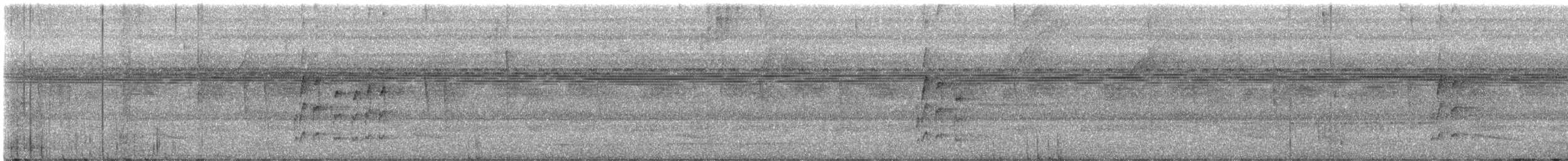 White-bellied Tody-Tyrant - ML644999192