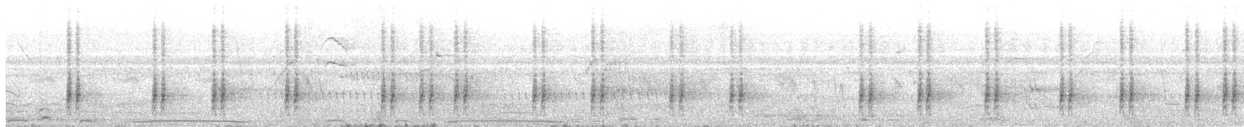 Forbes's Blackbird - ML644999367