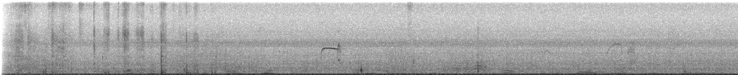 Тиранчик-тонкодзьоб північний - ML644999919