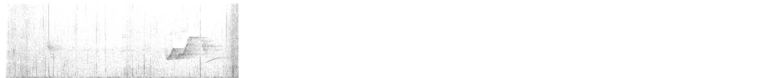 Інамбу андський - ML645000080