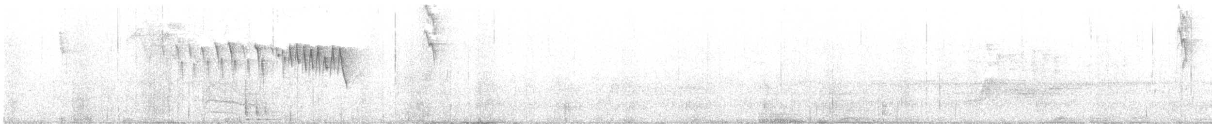 Пісняр тропічний - ML645000087