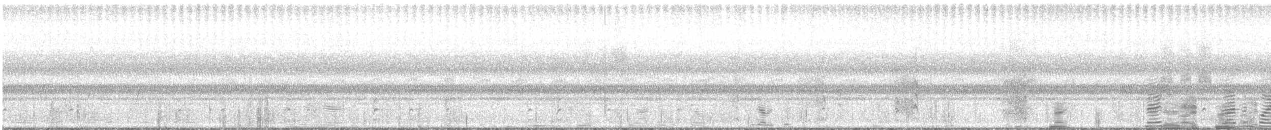 Кулик-довгоніг американський (підвид mexicanus) - ML645000277