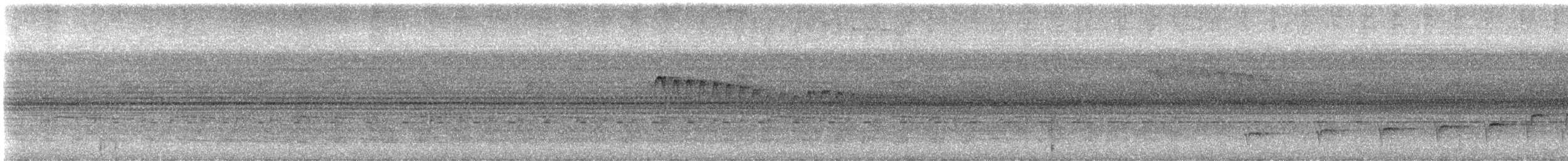 Ману чорний - ML645000389