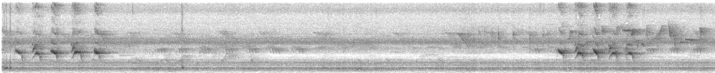 Горована індійська - ML645000524