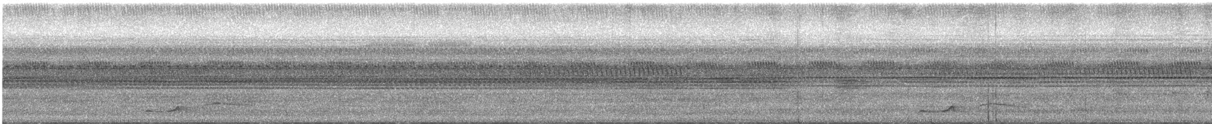 Waved Woodpecker (Scale-breasted) - ML645000546