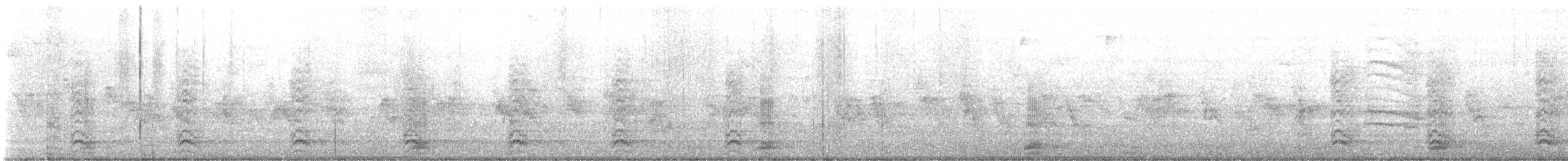 American Crow - ML645000594