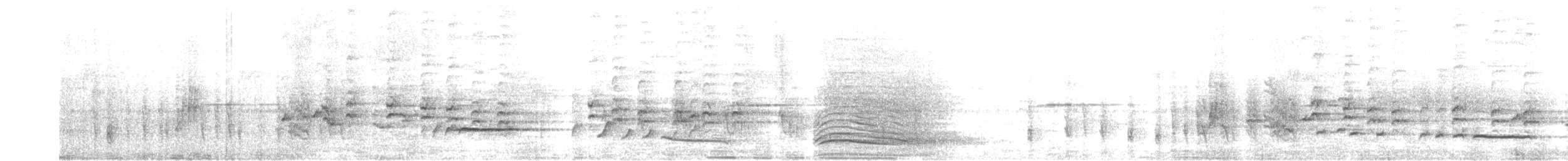 Mountain Illadopsis - ML645004652