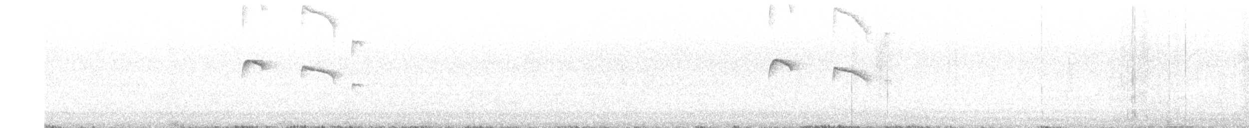 Серошапочный пиохито - ML645005093